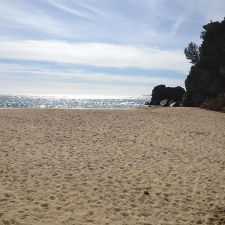 Chemin De La Roseraie *